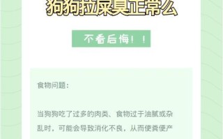 如何解决柯基体臭问题（有效的方法帮助你的柯基摆脱体臭烦恼）
