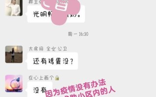 仓鼠怀孕了！主人要做些什么？（关爱与照料，为仓鼠的健康成长提供保障）