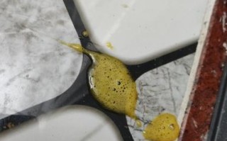 如何应对幼犬连续二十天的呕吐问题（探讨幼犬呕吐的原因及应对方法）