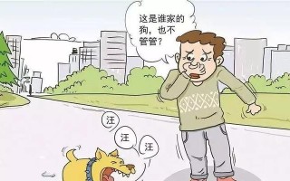 宠物犬养护安全手册（从养犬初学者到专业养犬人，让你的犬只安全又健康）