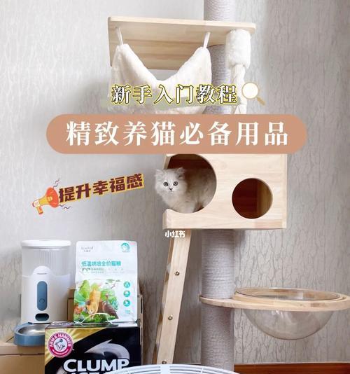 猫咪的用品全攻略——为宠物提供最舒适的生活（从食物到玩具，全面了解如何为您的爱猫选择最佳的用品）-第1张图片-萌宠乐园