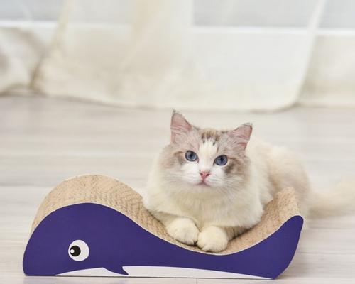 猫咪的用品全攻略——为宠物提供最舒适的生活（从食物到玩具，全面了解如何为您的爱猫选择最佳的用品）-第3张图片-萌宠乐园