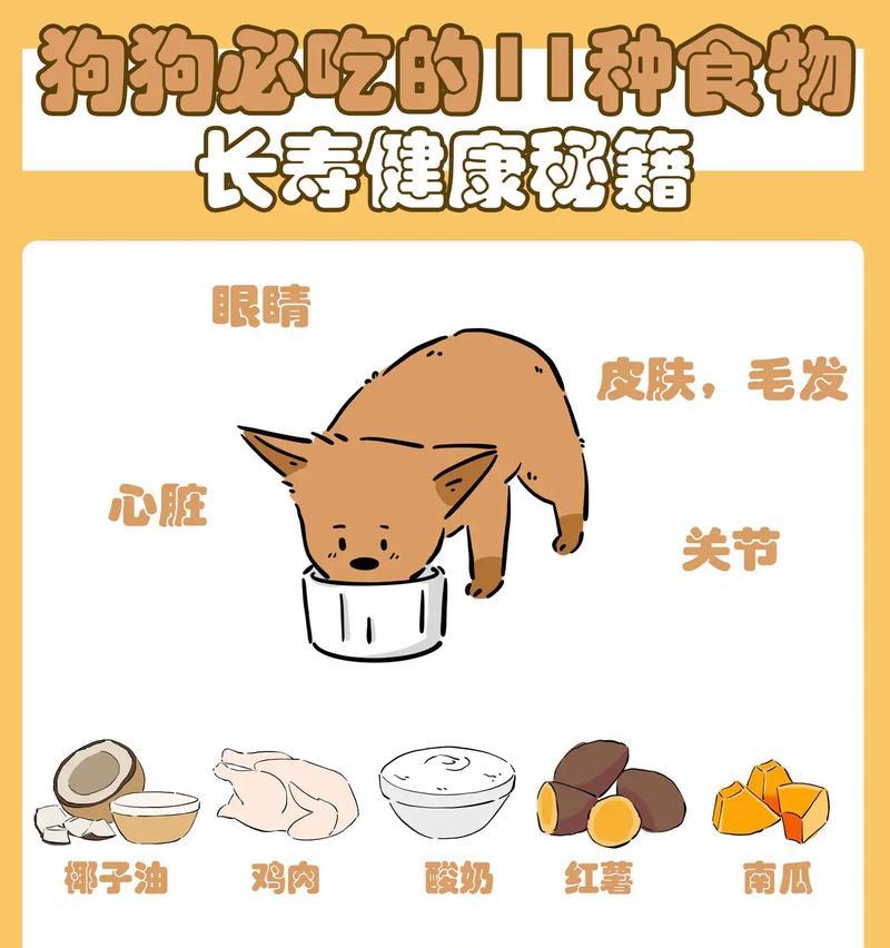 千万别喂狗这些食物！（了解宠物的饮食禁忌，避免酿成悲剧）-第1张图片-萌宠乐园