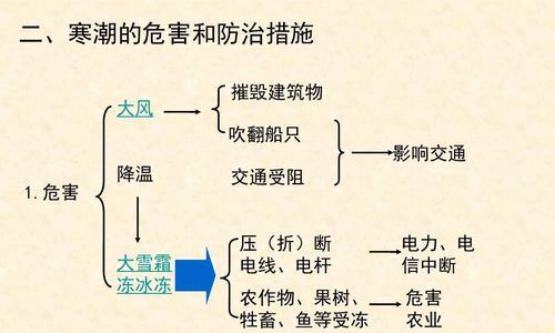 金毛为什么喜欢打滚？-第2张图片-萌宠乐园