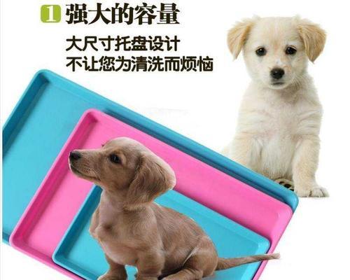 用笼子训练狗狗大小便的方法（让你的宠物在笼子里养成好习惯）-第2张图片-萌宠乐园