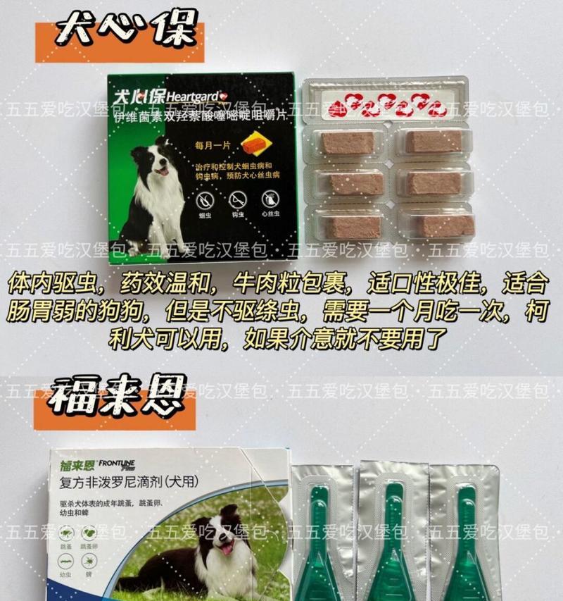养狗驱虫费用一月需多少？（了解养狗驱虫的费用和方法）-第3张图片-萌宠乐园