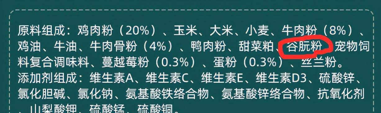 一岁泰迪犬的饮食安排（为你的宠物提供健康的饮食选择）-第1张图片-萌宠乐园
