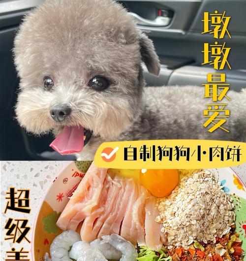 一岁泰迪犬的饮食安排（为你的宠物提供健康的饮食选择）-第2张图片-萌宠乐园
