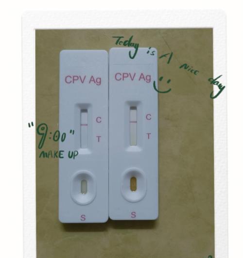 细小测试纸的应用与价值（探索细小测试纸在科学研究和生活中的多重功能）-第3张图片-萌宠乐园