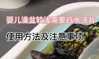 宠物洗澡的正确方法及注意事项（探索最适合狗狗猫猫的洗澡方式，）-第1张图片-萌宠乐园