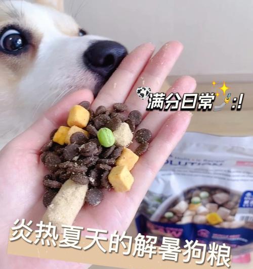 夏日狗狗消暑攻略（以夏天给狗吃什么消暑？）-第2张图片-萌宠乐园