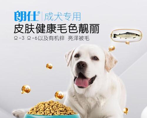 以边牧适合什么狗粮？（选择适合边牧的狗粮有哪些要点？）-第1张图片-萌宠乐园