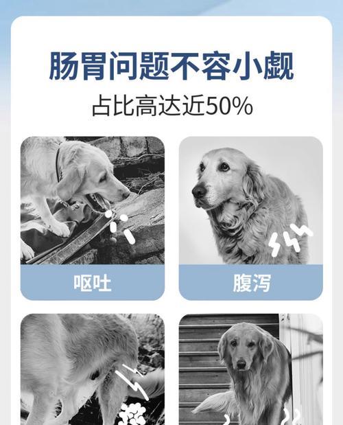 如何选择适合两个月大比熊的狗粮？（以健康成长为出发点，为您的宝贝选择最佳狗粮）-第2张图片-萌宠乐园