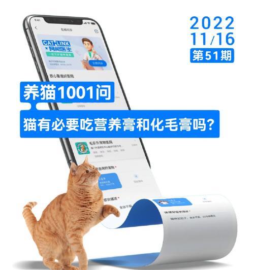 猫能吃什么抗生素？（了解猫咪使用抗生素的注意事项及常见药物）-第3张图片-萌宠乐园