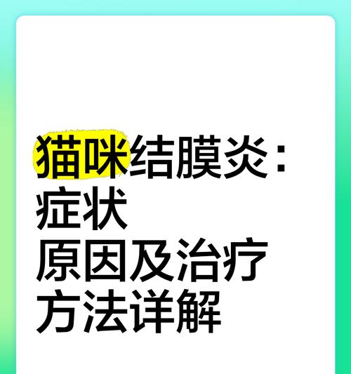 小猫结膜炎的康复时长及护理方法(结膜炎的症状、治疗方法和预防措施详解)-第1张图片-萌宠乐园 小猫结膜炎的康复时长及护理方法(结膜炎的症状、治疗方法和预防措施详解)-第1张图片-萌宠乐园