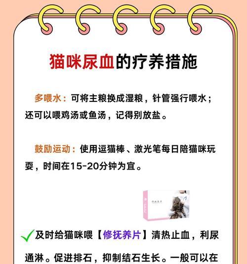 小猫尿不出来尿的原因与解决方法（排尿困难让小猫不舒服？这里有解决办法！）-第3张图片-萌宠乐园