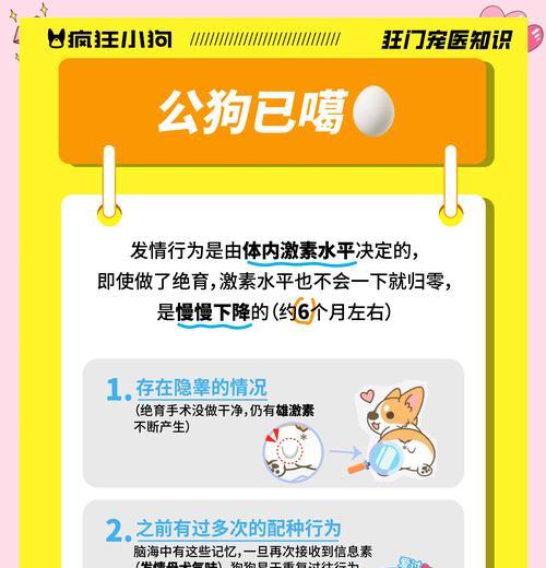 狗狗绝育（绝育对狗狗的好处和考虑因素）-第1张图片-萌宠乐园