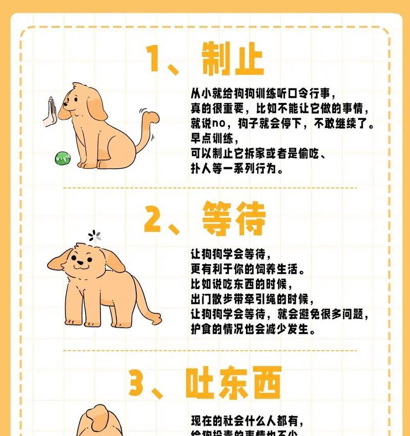 幼犬养育的安全时机与关键因素（探究幼犬在何时成为安全的伙伴及相关注意事项）-第2张图片-萌宠乐园