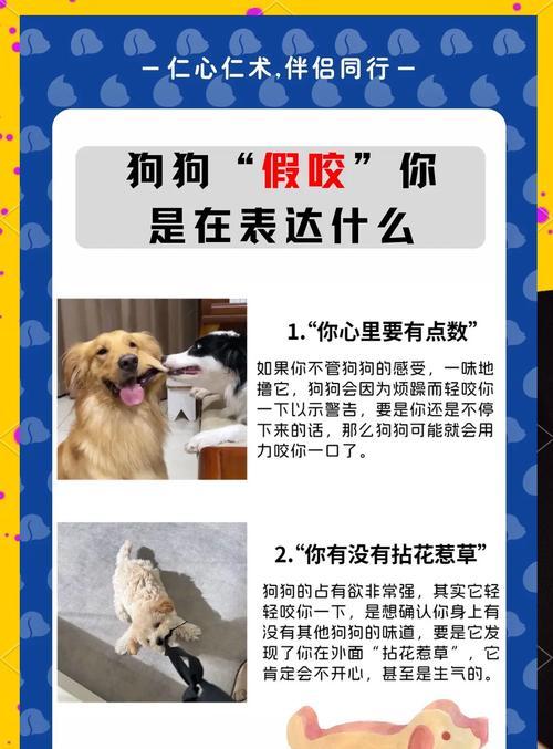 温顺听话的宠物犬为何会攻击咬人？（探究背后的原因和解决方法）-第3张图片-萌宠乐园