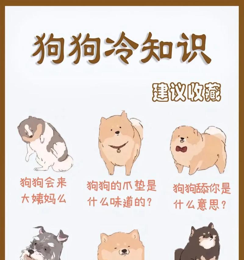 宠物生理期持续时间的探究（宠物生理期的长度及影响因素分析）-第3张图片-萌宠乐园