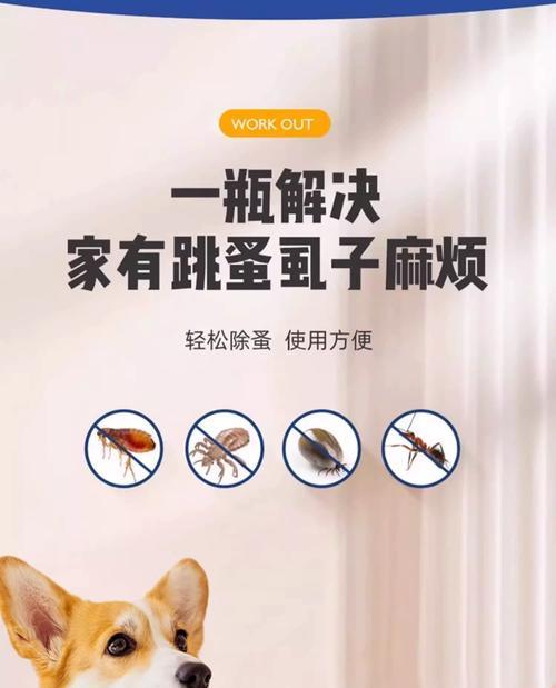 宠物跳蚤防治全攻略（如何让宠物远离跳蚤侵害）-第1张图片-萌宠乐园