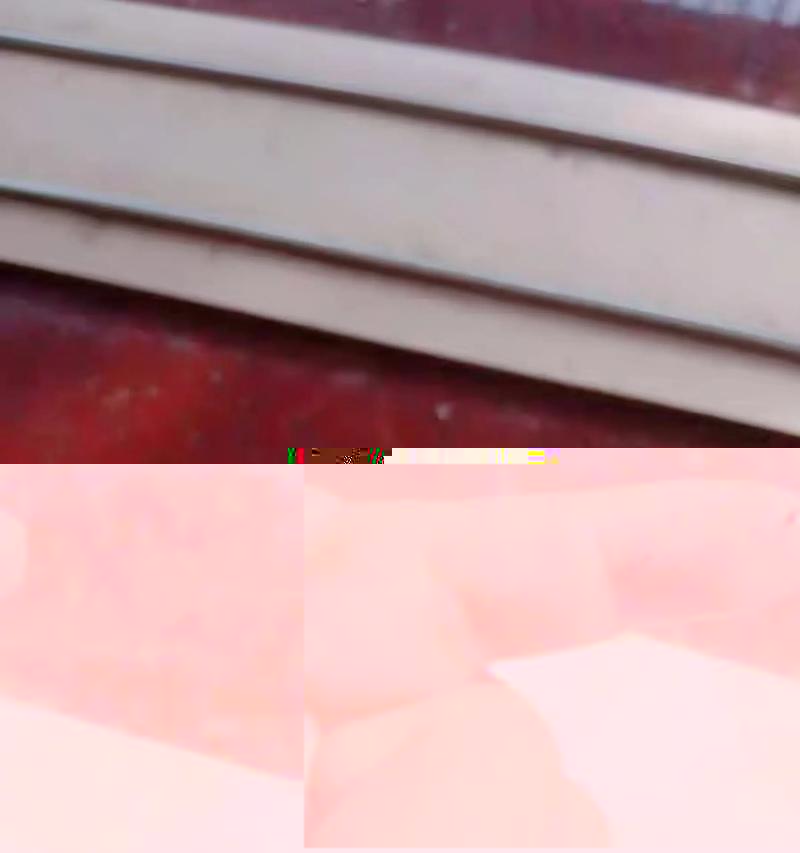 宠物跳蚤防治全攻略（如何让宠物远离跳蚤侵害）-第3张图片-萌宠乐园