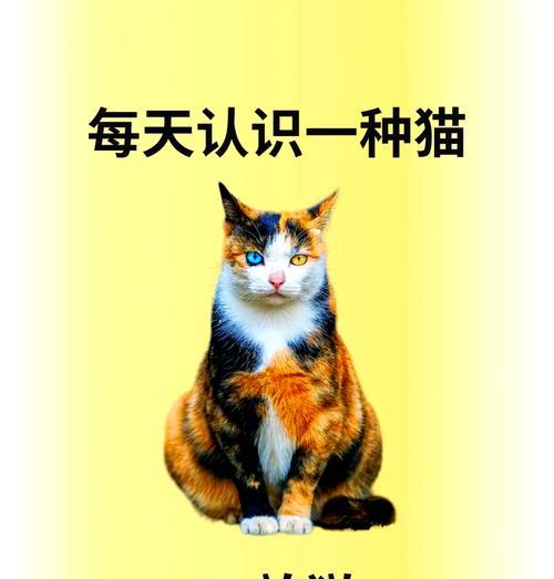 猫咪与百合花的相处之道（小心猫爪！百合花的敌人是谁？）-第2张图片-萌宠乐园