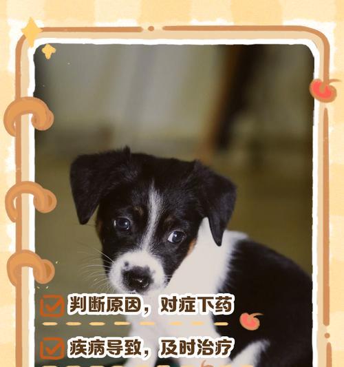 小狗不愿起床怎么办？（解决小狗懒床问题的实用方法）-第1张图片-萌宠乐园